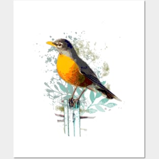 American Robin Garden Bird Posters and Art